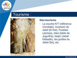 Tourisme :
             Géo-tourisme
             • La couche K/T (référence
               mondiale), inversion de
               relief (El Kef), Fossiles
               (Jerissa), sites (table de
               Jugurtha), diapir (Jebel
               Debadib), les grottes du
               Jebel Serj, etc.




                                   www.tunisiaforall.org
 