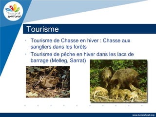 Tourisme
• Tourisme de Chasse en hiver : Chasse aux
  sangliers dans les forêts
• Tourisme de pêche en hiver dans les lacs de
  barrage (Melleg, Sarrat)




                                            www.tunisiaforall.org
 