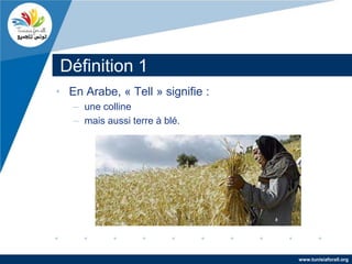 Définition 1
• En Arabe, « Tell » signifie :
   – une colline
   – mais aussi terre à blé.




                                  www.tunisiaforall.org
 