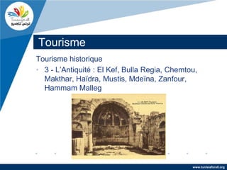 Tourisme
Tourisme historique
• 3 - L’Antiquité : El Kef, Bulla Regia, Chemtou,
  Makthar, Haïdra, Mustis, Mdeïna, Zanfour,
  Hammam Malleg




                                               www.tunisiaforall.org
 