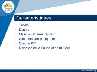 Caractéristiques
•   Tables
•   Diapirs
•   Massifs calcaires récifaux
•   Gisements de phosphate
•   Couche K/T
•   Richesse de la Faune et de la Flore




                                          www.tunisiaforall.org
 