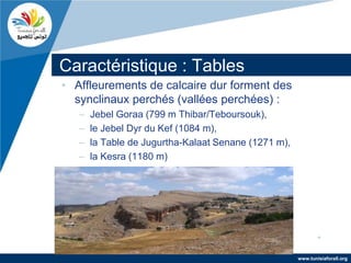 Caractéristique : Tables
• Affleurements de calcaire dur forment des
  synclinaux perchés (vallées perchées) :
   –   Jebel Goraa (799 m Thibar/Teboursouk),
   –   le Jebel Dyr du Kef (1084 m),
   –   la Table de Jugurtha-Kalaat Senane (1271 m),
   –   la Kesra (1180 m)




                                                      www.tunisiaforall.org
 