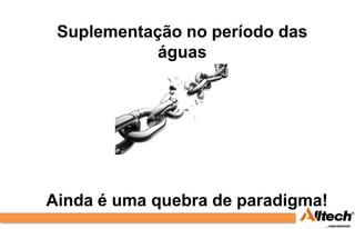Suplementação no período das
            águas




Ainda é uma quebra de paradigma!
 