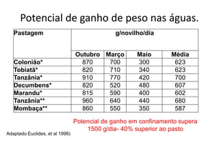 Potencial de ganho de peso nas águas.
   Pastagem                                   g/novilho/dia


                                 Outubro Março        Maio       Média
   Colonião*                       870    700         300         623
   Tobiatã*                        820    710         340         623
   Tanzânia*                       910    770         420         700
   Decumbens*                      820    520         480         607
   Marandu*                        815    590         400         602
   Tanzânia**                      960    640         440         680
   Mombaça**                       860    550         350         587

                                 Potencial de ganho em confinamento supera
                                     1500 g/dia- 40% superior ao pasto
Adaptado Euclides, et al 1998)
 