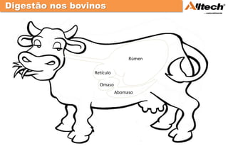 Digestão nos bovinos




                                 Rúmen

                 Retículo

                   Omaso
                            Abomaso
 