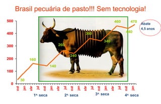 Brasil pecuária de pasto!!! Sem tecnologia!
500                                                                                            460             470
                                                                                                                     Abate
                                                                                                                     4,5 anos
400                                                                  360                                  440

                                                                                       340
300                                          260

                                                        240
200                160
                                      140
100

            30
 0
             jan




                                      jan




                                                              jan




                                                                                       jan




                                                                                                               jan
                   abr




                                            abr




                                                                    abr




                                                                                             abr
                          jul




                                                  jul




                                                                          jul




                                                                                                   jul
      out




                                out




                                                        out




                                                                                 out




                                                                                                         out
                         1a. seca                 2a. seca                      3a. seca                 4a. seca
 