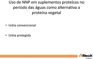 Uso de NNP em suplementos proteícos no
    período das águas como alternativa a
              proteína vegetal

• Uréia convencional

• Uréia protegida
 