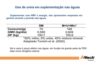 Uso de ureia em suplementação nas águas

   Suplementos com NÑP e energia, não apresentam respostas em
ganhos durante o período das águas.


                    SM               M+U+Min*
 Consumo(g)          79                  168
 GMD (kg/dia)      0,599                0,628
 GP (kg)           100,7                105,6
          *50% milho, 5% uréia, 45% mistura mineral.
          Adaptado Tomich et al. (2002)

  Sal e ureia é pouco efetivo nas águas, em função de grande parte da PDR
  estar como nitrogênio solúvel
 