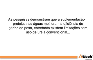 As pesquisas demonstram que a suplementação
   protéica nas águas melhoram a eficiência de
ganho de peso, entretanto existem limitações com
           uso de uréia convencional...
 
