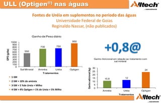 ULL (Optigen®) nas águas
                               Fontes de Uréia em suplementos no periodo das águas
                                           Universidade Federal de Goias
                                         Reginaldo Nassar, (não publicados)

                              Ganho de Peso diário

              1000                                        950
               900
               800                   730          750
               700
GPD (g/dia)




               600      550
               500
               400
               300                                                                         Ganho Adicional em relação ao tratamento com
               200                                                                                          sal mineral
               100
                 0
                                                                                          30




                                                                   Ganho adicional (kg)
                     Sal Mineral    Amiréia      Uréia   Optigen                                                                     24
                                                                                          25
                                         Tratamentos
                                                                                          20
           1-SM                                                                          15                        12
                                                                                                   10,8
           2-SM + 10% de amireia                                                         10
           3-SM + 5 %de Ureia + Milho                                                     5
                                                                                           0
           4-SM + 4% Optigen + 1% de Ureia + 5% Milho                                            Amiréia          Uréia          Optigen
                                                                                                               Tratamentos
 