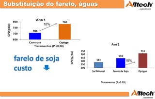 Substituição do farelo, águas

                        Ano 1
              800                         780
                             10%
 GPD(g/dia)




              750
                      706
              700

              650
                    Controle             Optigen
                       Tratamentos (P.=0.06)
                                                                                        Ano 2
                                                                 750                                        716




                                                   GPD (g/dia)
                                                                 700
                                                                                               643
                                                                 650
                                                                 600      583                        10%
                                                                 550
                                                                 500
                                                                       Sal Mineral        Farelo de Soja   Optigen



                                                                                Tratamentos (P.=0.05)
 