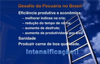 Eficiência produtiva e econômica,
 – melhorar índices na cria;
 – redução do tempo de recria;
 – aumento de desfrute;
 – aumento da produtividade por área
Sanidade
Produzir carne de boa qualidade.
 