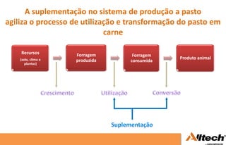A suplementação no sistema de produção a pasto
agiliza o processo de utilização e transformação do pasto em
                             carne

    Recursos         Forragem      Forragem
    (solo, clima e                              Produto animal
                     produzida    consumida
       plantas)
 