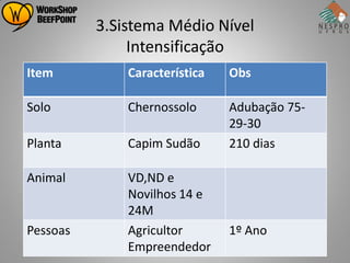 3.Sistema Médio Nível
               Intensificação
Item          Característica   Obs

Solo          Chernossolo      Adubação 75-
                               29-30
Planta        Capim Sudão      210 dias

Animal        VD,ND e
              Novilhos 14 e
              24M
Pessoas       Agricultor       1º Ano
              Empreendedor
 