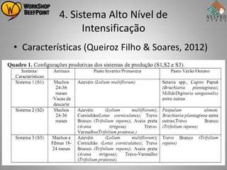 4. Sistema Alto Nível de
                 Intensificação
• Características (Queiroz Filho & Soares, 2012)
 