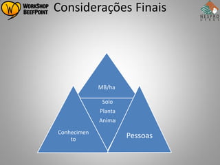Considerações Finais




             MB/ha

              Solo
             Planta
             Animal
Conhecimen
    to                Pessoas
 