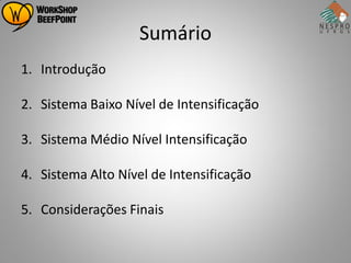 Sumário
1. Introdução

2. Sistema Baixo Nível de Intensificação

3. Sistema Médio Nível Intensificação

4. Sistema Alto Nível de Intensificação

5. Considerações Finais
 
