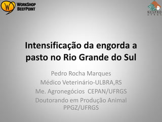 Intensificação da engorda a
pasto no Rio Grande do Sul
       Pedro Rocha Marques
   Médico Veterinário-ULBRA,RS
  Me. Agronegócios CEPAN/UFRGS
  Doutorando em Produção Animal
           PPGZ/UFRGS
 