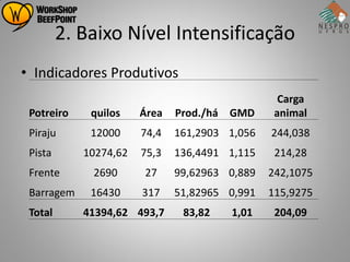 2. Baixo Nível Intensificação
• Indicadores Produtivos
                                                 Carga
 Potreiro    quilos    Área   Prod./há GMD      animal
 Piraju      12000     74,4   161,2903 1,056   244,038
 Pista      10274,62   75,3   136,4491 1,115    214,28
 Frente      2690      27     99,62963 0,889   242,1075
 Barragem    16430     317    51,82965 0,991   115,9275
 Total      41394,62 493,7     83,82   1,01     204,09
 