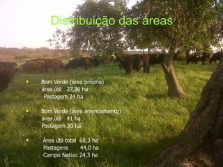 Distribuição das áreas



n   Bom Verde (área própria)
    área útil 27,36 ha
     Pastagem 24 ha

n   Bom Verde (área arrendamento)
    área útil 41 ha
    Pastagem 20 ha

n   Área útil total 68,3 ha
    Pastagens       44,0 ha
    Campo Nativo 24,3 ha
 