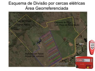 Esquema de Divisão por cercas elétricas
       Área Georreferenciada

    Área de refúgio
                                  Esquema de Pizza
    Campo Nativo                  Com Praça de Alimentação




            Pastoreio em Faixas
            Acesso por corredor
 