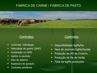 FÁBRICA DE CARNE / FÁBRICA DE PASTO




            Controles:                     Controles:

n   Controles individuais       n   Disponibilidade KgMs/ha
n   Velocidade de ganho (GMD)   n   Taxa de acúmulo KgMs/ha/dia
n   Aceleração no GMD           n   Produção de MS de Inverno
n   Ganho no período            n   Produção de Ms de Verão
n   Dias de sistema
                                n   Total de KgMs produzida
n   Espessura de gordura
n   Controles sanitários
 