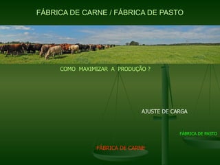 FÁBRICA DE CARNE / FÁBRICA DE PASTO




     COMO MAXIMIZAR A PRODUÇÃO ?




                             AJUSTE DE CARGA


                                         FÁBRICA DE PASTO


               FÁBRICA DE CARNE
 