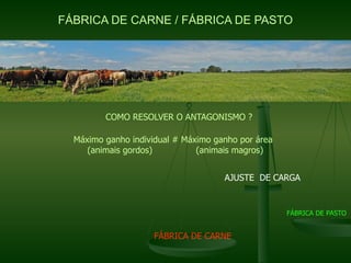 FÁBRICA DE CARNE / FÁBRICA DE PASTO




         COMO RESOLVER O ANTAGONISMO ?

  Máximo ganho individual # Máximo ganho por área
     (animais gordos)          (animais magros)


                                     AJUSTE DE CARGA


                                                    FÁBRICA DE PASTO


                     FÁBRICA DE CARNE
 