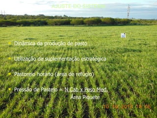 AJUSTE DO SISTEMA




n   Dinâmica da produção de pasto

n   Utilização de suplementação estratégica

n   Pastoreio horário (área de refúgio)

n   Pressão de Pastejo = N.Cab x Peso Med.
                           Área Piquete
 