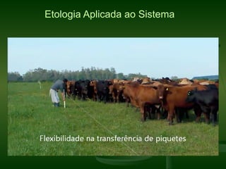 Etologia Aplicada ao Sistema
 