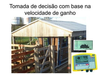 Tomada de decisão com base na
     velocidade de ganho
 