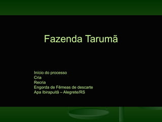 Fazenda Tarumã


•
    Início do processo
•
    Cria
•
    Recria
•
    Engorda de Fêmeas de descarte
•
    Apa Ibirapuitã – Alegrete/RS
 