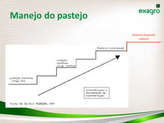 Manejo do pastejo
                        Sistema desponte
                             repasse




         , modificado
 