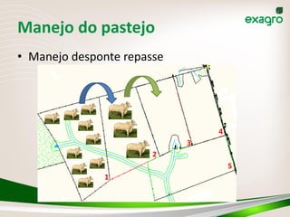 Manejo do pastejo
• Manejo desponte repasse




                                4
                            3
                       2
                                    5
              1
 