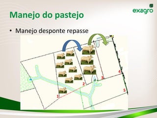 Manejo do pastejo
• Manejo desponte repasse




                                4
                            3
                       2
                                    5
              1
 