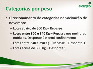 Categorias por peso
• Direcionamento de categorias na vacinação de
  novembro
  – Lotes abaixo de 300 Kg – Repasse
  – Lotes entre 300 e 340 Kg – Repasse nos melhores
    módulos. Desponte 2 e semi confinamento
  – Lotes entre 340 e 390 Kg – Repasse – Desponte 3
  – Lotes acima de 390 Kg – Desponte 1
 