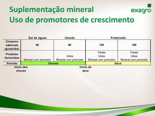Suplementação mineral
   Uso de promotores de crescimento
                Sal de águas               Ureado                           Proteinado
 Consumo
 estimado             60                     90                     120                     180
(g/cab/dia)
                                                                     Farelo                 Farelo
 Produtos
                                             Ureia                   Ureia                  Ureia
fornecidos
              Mineral com promotor   Mineral com promotor    Mineral com promotor   Mineral com promotor
 Período                        Chuvas                                          Seca
      Início das                                      Início da
        chuvas                                          seca
 