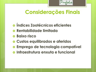 Considerações Finais

   Índices Zootécnicos eficientes
   Rentabilidade limitada
   Baixo risco
   Custos equilibrados e aferidos
   Emprego de tecnologia compatível
   Infraestrutura enxuta e funcional
 