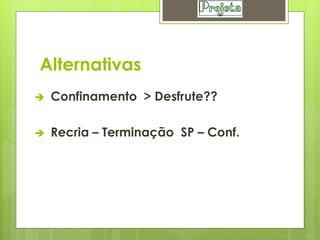 Alternativas
   Confinamento > Desfrute??

   Recria – Terminação SP – Conf.
 