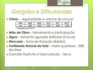 Gargalos e Dificuldades
 Clima    – regularidade e volume de chuvas
           ANO         2008        2009   2010   2011   2012*
           mm          1090        1400   1337   1840   1355
        * Acumulado até 22/10/12

 Mão    de Obra – treinamento e participação
 Água – somente aguadas artificiais (Chuva)
 Mercado – Zona de Exclusão (Bolsão)
 Fertilidade Natural do Solo – Areia quartzosa - 35%
  da área
 Conciliar Desfrute e Taxa Lotação – Seca
 