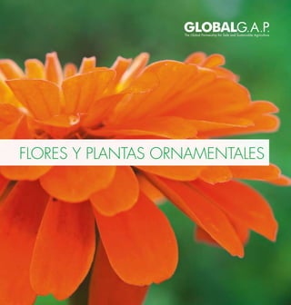 FLORES Y PLANTAS ORNAMENTALES
 