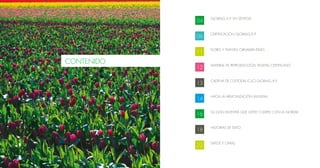 GLOBALG.A.P. EN SÍNTESIS
CERTIFICACIÓN GLOBALG.A.P.
FLORES Y PLANTAS ORNAMENTALES
MATERIAL DE REPRODUCCIÓN VEGETAL CERTIFI...