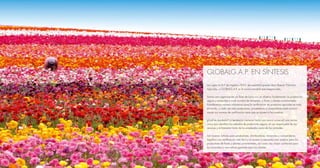 GLOBALG.A.P. EN SÍNTESIS
Las siglas G.A.P. (en inglés) o B.P.A. (en español) quieren decir Buenas Prácticas
Agrícolas, y G...