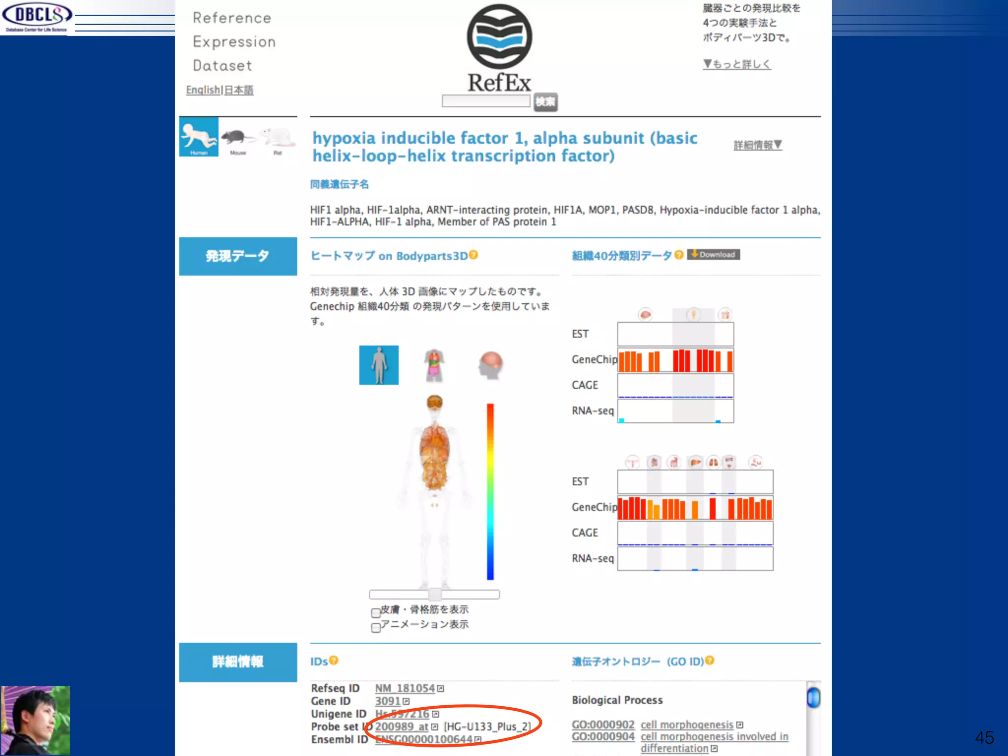 RefEx:
Specific gene(HIF1A)




                       45
 