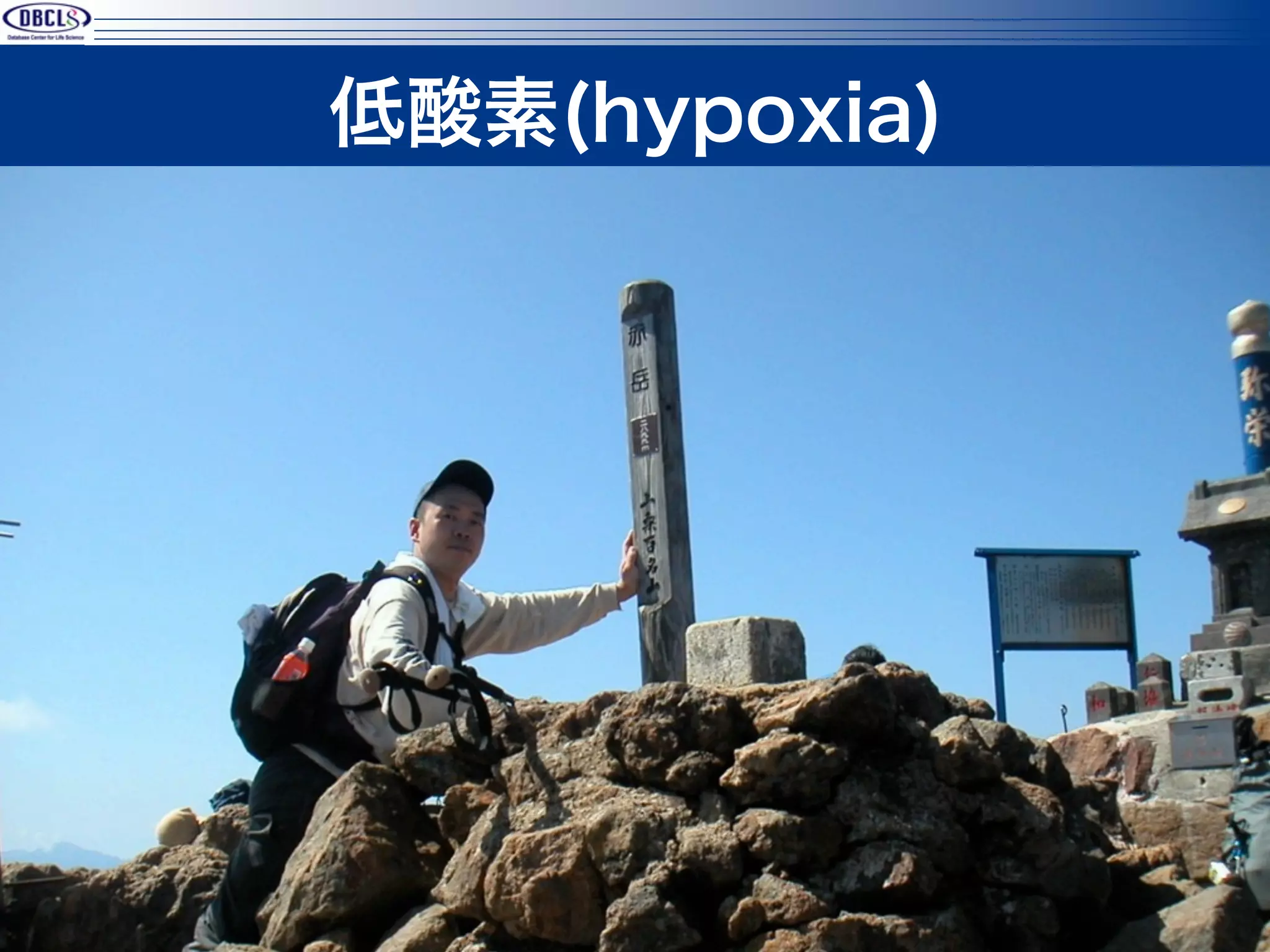 低酸素(hypoxia)




               8
 