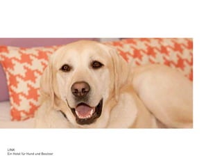 LINK
Ein Hotel für Hund und Besitzer
 