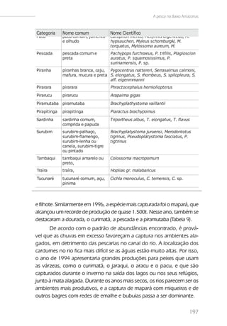 A pesca no Baixo Amazonas



Categoria     Nome comum              Nome Científico
Pacu          pacu comum, jumento     Catoprion mento, Metynnis argenteus, M.
              e olhudo                hypsauchen, Myleus schomburgki, M.
                                      torquatus, Mylossoma aureum, M.
                                      duriventre
Pescada       pescada comum e         Pachypops furchraeus, P. trifilis, Plagioscion
              preta                   auratus, P. squamosissimus, P.
                                      surinamensis, P. sp.
Piranha       piranhas branca, caju, Pygocentrus nattereri, Serrasalmus calmoni,
              mafura, mucura e preta S. elongatus, S. rhombeus, S. spilopleura, S.
                                     aff. eigenmmanni
Pirarara      pirarara                Phractocephalus hemioliopterus
Pirarucu      pirarucu                Arapaima gigas
Piramutaba piramutaba                 Brachyplathystoma vaillantii
Pirapitinga   pirapitinga             Piaractus brachypomus
Sardinha      sardinha comum,         T riportheus albus, T . elongatus, T . flavus
              comprida e papuda
Surubim       surubim-palhaço,        Brachyplatystoma juruensi, Merodontotus
              surubim-flamengo,       tigrinus, Pseudoplatystoma fasciatus, P.
              surubim-lenha ou        tigtrinus
              canela, surubim-tigre
              ou pintado
Tambaqui      tambaqui amarelo ou     Colossoma macropomum
              preto,
Traíra        traíra,                 Hoplias gr. malabaricus
Tucunaré      tucunaré comum, açu,    Cichla monoculus, C. temensis, C. sp.
              pinima




e filhote. Similarmente em 1996, a espécie mais capturada foi o mapará, que
alcançou um recorde de produção de quase 1.500t. Nesse ano, também se
destacaram a dourada, o curimatã, a pescada e a piramutaba (Tabela 9).
      De acordo com o padrão de abundâncias encontrado, é prová-
vel que as chuvas em excesso favoreçam a captura nos ambientes ala-
gados, em detrimento das pescarias no canal do rio. A localização dos
cardumes no rio fica mais difícil se as águas estão muito altas. Por isso,
o ano de 1994 apresentaria grandes produções para peixes que usam
as várzeas, como o curimatã, o jaraqui, o aracu e o pacu, e que são
capturados durante o inverno na saída dos lagos ou nos seus refúgios,
junto à mata alagada. Durante os anos mais secos, os rios parecem ser os
ambientes mais produtivos, e a captura de mapará com miqueiras e de
outros bagres com redes de emalhe e bubuias passa a ser dominante.

                                                                                  197
 