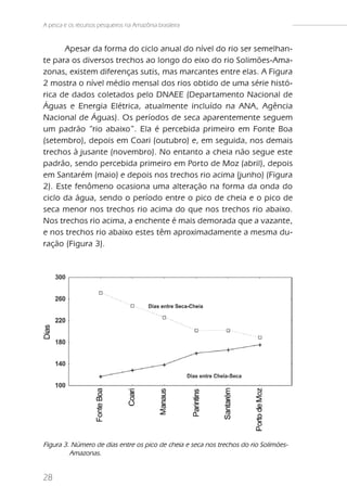 A pesca e os recursos pesqueiros na Amazônia brasileira


      Apesar da forma do ciclo anual do nível do rio ser semelhan-
te para os diversos trechos ao longo do eixo do rio Solimões-Ama-
zonas, existem diferenças sutis, mas marcantes entre elas. A Figura
2 mostra o nível médio mensal dos rios obtido de uma série histó-
rica de dados coletados pelo DNAEE (Departamento Nacional de
Águas e Energia Elétrica, atualmente incluído na ANA, Agência
Nacional de Águas). Os períodos de seca aparentemente seguem
um padrão “rio abaixo”. Ela é percebida primeiro em Fonte Boa
(setembro), depois em Coari (outubro) e, em seguida, nos demais
trechos à jusante (novembro). No entanto a cheia não segue este
padrão, sendo percebida primeiro em Porto de Moz (abril), depois
em Santarém (maio) e depois nos trechos rio acima (junho) (Figura
2). Este fenômeno ocasiona uma alteração na forma da onda do
ciclo da água, sendo o período entre o pico de cheia e o pico de
seca menor nos trechos rio acima do que nos trechos rio abaixo.
Nos trechos rio acima, a enchente é mais demorada que a vazante,
e nos trechos rio abaixo estes têm aproximadamente a mesma du-
ração (Figura 3).




Figura 3. Número de dias entre os pico de cheia e seca nos trechos do rio Solimões-
         Amazonas.


28
 