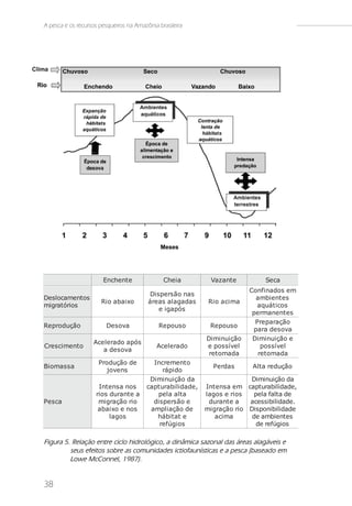A pesca e os recursos pesqueiros na Amazônia brasileira




                       Enchent e               Chei a            Vaz ant e          Seca
                                                                               Confi nados em
                                          Di s pers ão nas
Deslocamentos                                                                    ambi ent es
                      Ri o abai xo       áreas al agadas        Ri o a ci ma
migratórios                                                                      aquát i cos
                                              e i ga pó s
                                                                                permanent es
                                                                                 Preparação
Reprodução              Des ova              Repous o           Repous o
                                                                                para des ova
                                                               Di mi nui ção    Di mi nui ção e
                   Acel erado após
Cres ci ment o                              Acel erado         e pos s í vel       pos s í vel
                      a des ova
                                                                ret omada         ret omada
                     Produção de          Increment o
Bi omas s a                                                      Perdas         Al t a redução
                        j ovens               rápi do
                                         Di mi nui ção da                     Diminuição da
                     Int ens a nos      capt urabi l i dade,   Int ens a em capturabilidade,
                    ri os durant e a        pe l a a l t a     l agos e ri os   pela falta de
Pes ca               mi gração ri o       di s pers ão e         durant e a   acessibilidade.
                     abai xo e nos       ampl i ação de        mi gração ri o Disponibilidade
                          l a go s          hábi t at e            aci ma      de ambientes
                                            refúgi os                            de refúgios

Figura 5. Relação entre ciclo hidrológico, a dinâmica sazonal das áreas alagáveis e
         seus efeitos sobre as comunidades ictiofaunísticas e a pesca (baseado em
         Lowe McConnel, 1987).


38
 