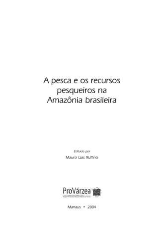 A pesca e os recursos
   pesqueiros na
 Amazônia brasileira




          Editado por
      Mauro Luis Ruffino




       Manaus • 2004
 